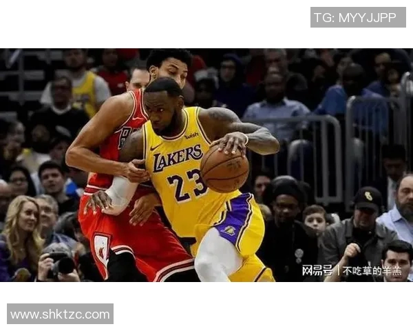 湖人险胜黄蜂暴露内线短板，武切维奇交易成湖人队补强关键